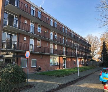 Te huur: Leuk appartement met 1 slaapkamer nabij het centrum - Photo 3