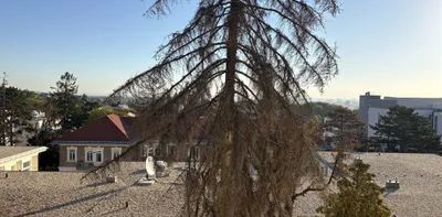 Traumhafter Erstbezug mit Fernblick in Ruhelage - provisionsfrei - Photo 2