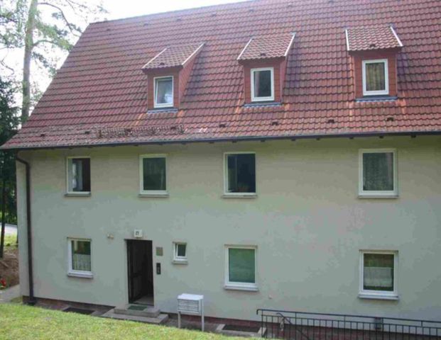 Mietwohnung in Gemünden - Gemütliche 3-Zimmerwohnung in Gemünden - Foto 1