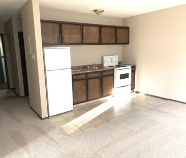 Studio Apartment in Riverside Meadows! - Photo 4