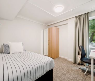 Dual Living 01 - Photo 2