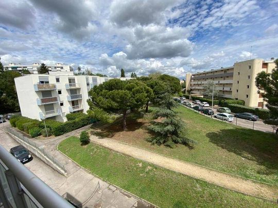 Location appartement 1 pièce 29.84 m² à Montpellier (34000) - Photo 1