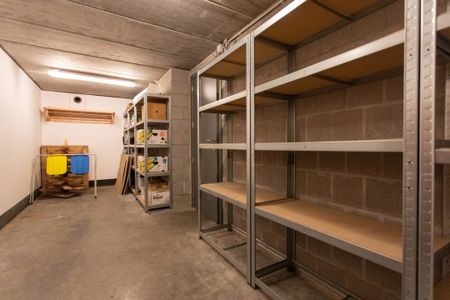 Wuustwezel - Photo 3