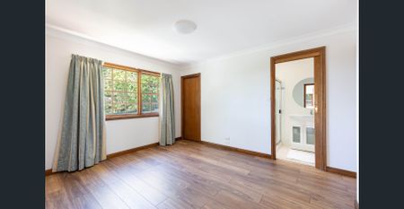 Light-Filled Home in a Peaceful Leafy Setting - Photo 4