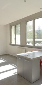 Location Appartement 1 pièce 39m² ST ETIENNE 42100 - Photo 3