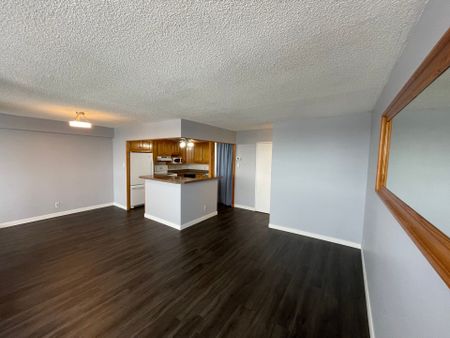 For Lease - 1285 Cahill Drive Unit# 1203, Hunt Club - South Keys and Area, Ontario - Photo 4