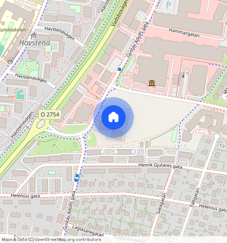 Gustav Adolfs gata **, Mossagården