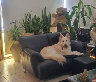 Upper Mount Gravatt - Photo 5