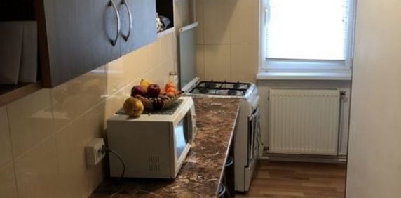 Garsoniera Parcul Carol - Fotografie 2