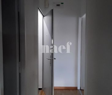 3 Zimmer, 50 m², 4. Stock - Photo 2