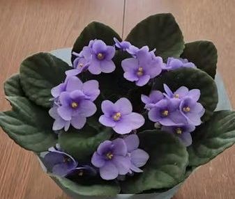 Carrer del Príncep Jordi, Barcelona, Catalonia 08014 - Photo 1