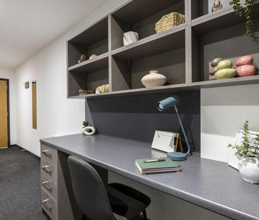 Studio to rent - Photo 4