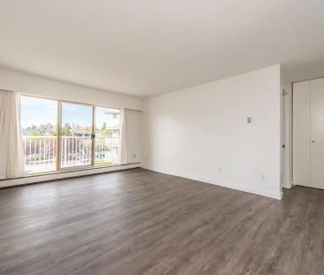 Rockmeare Manor Apartments — Studio Suite - Photo 5