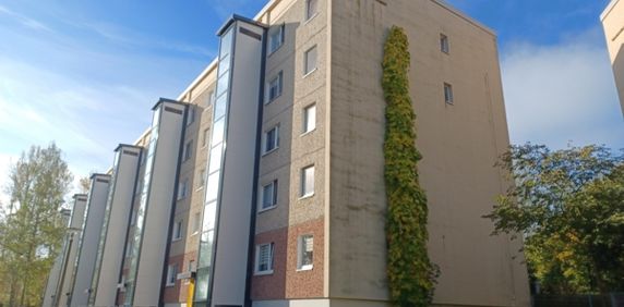 gemütliche Wohnung mit Mietergarten - Photo 2