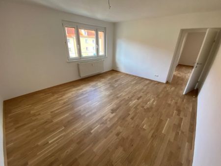 Gemütlichkeit kennt keine Grenzen! - Foto 5