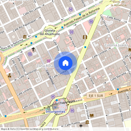 Calle Niza 43, Juárez, 06600 Mexico City, CMX, Mexico