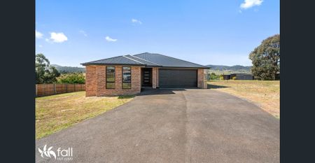 Spacious & Stunning Family Home in Brighton - Photo 4