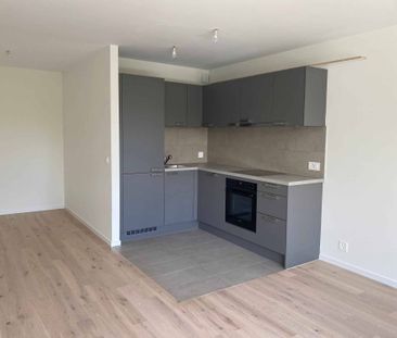 Appartements de 3 pièces neufs à Anières - Photo 2