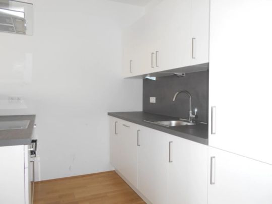 Q5 am PARK 8./letztes OG großartige 2ZI mit 8m² Ost/ Balkon - Photo 1