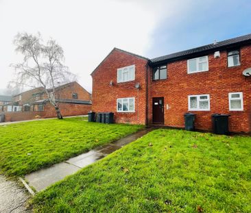 Studio for Rent - Photo 3