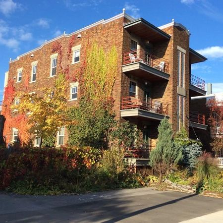 Belle chambre au cœur du Vieux-Limoilou, centre ville de Québec - Photo 4