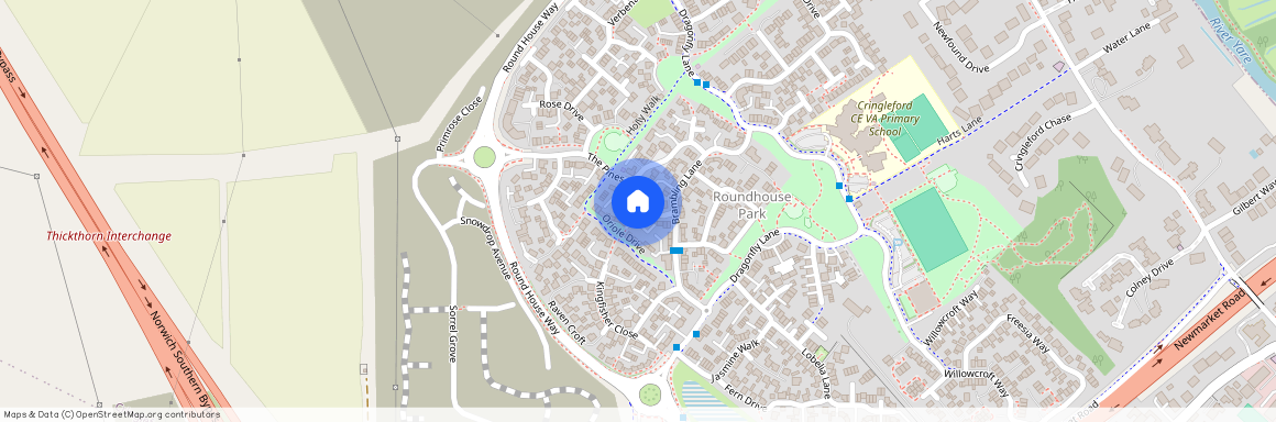 Oriole Drive, Norwich, NR4