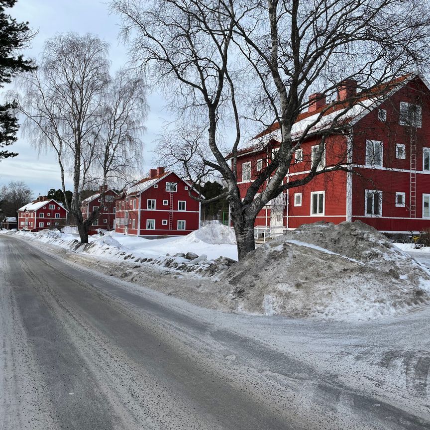 Trädgårdsmästargatan 15 - Foto 2