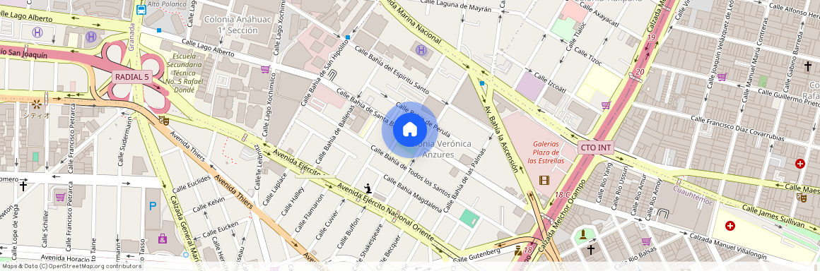 Sin nombre de calle, Colonia Veronica Anzures, C.P. 11300, Df / Cdmx