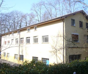 Charmant appartement de 5 pièces au 1er étage - Photo 2