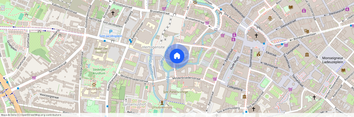 Onze-Lieve-Vrouwstraat 29, Leuven