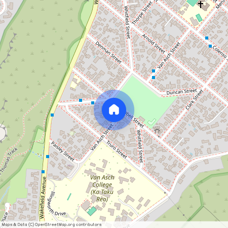 20 Van Asch Street, Sumner