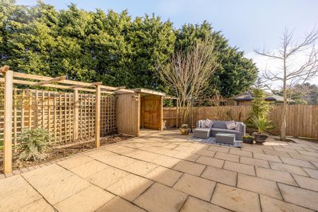 Tulip Fields, Spalding, Whaplode - Photo 3