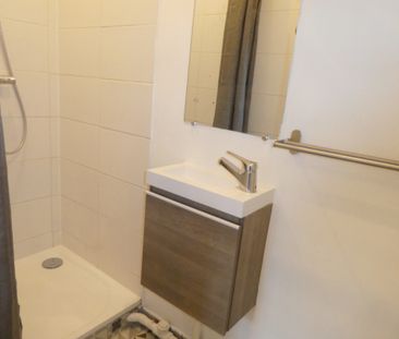 Location Appartement 1 pièce 10m² FONTAINEBLEAU 77300 - Photo 3