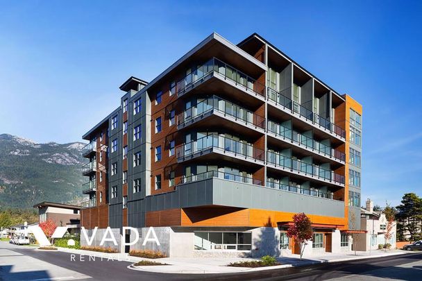 Unfurnished, Pet Friendly, 2 Bed 2 Bath Loft For Rent - Photo 1