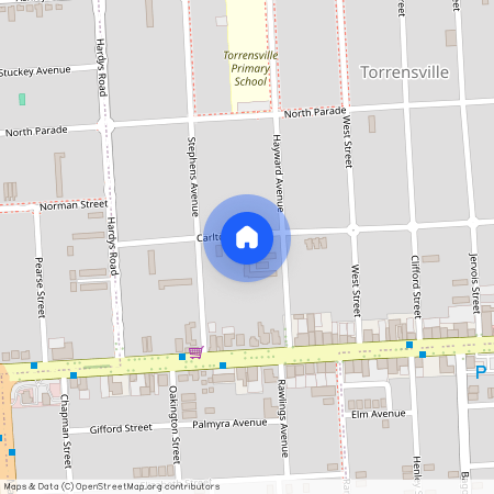 97 Carlton Pde, SA 5031, Torrensville