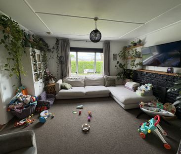 604b Elm Road, Akina - Photo 2