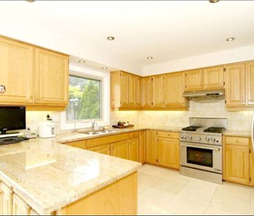 For Lease - 347 Fern Avenue Unit# 2flr Rm, Richmond Hill, Ontario - Photo 1