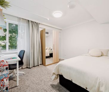 Dual Living 01 - Photo 1