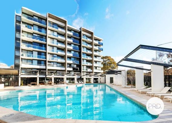 89/7 Irving Street, Phillip ACT 2606 - Apartment For Rent - $620 | Domain - Photo 1
