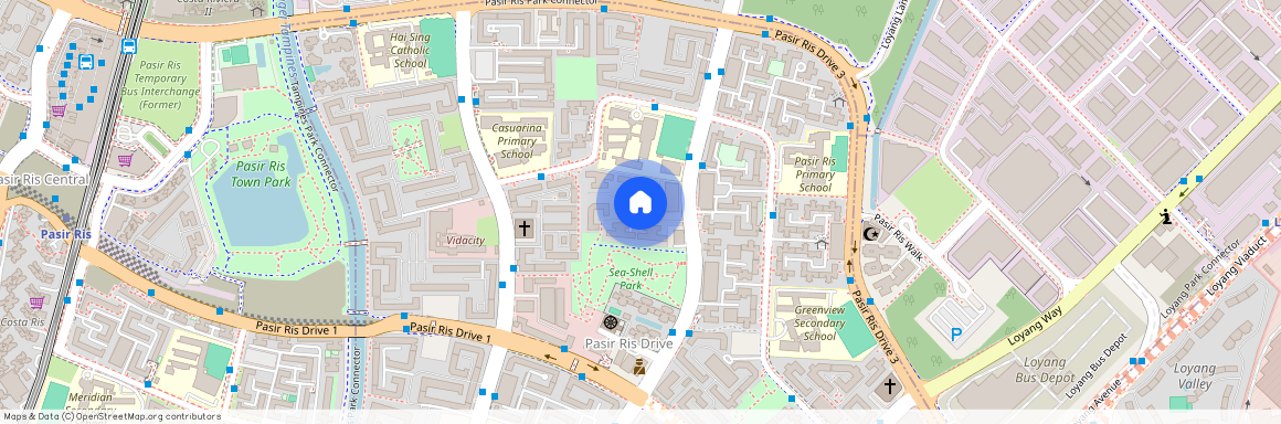 458 Pasir Ris Drive 4 (510458), Singapore