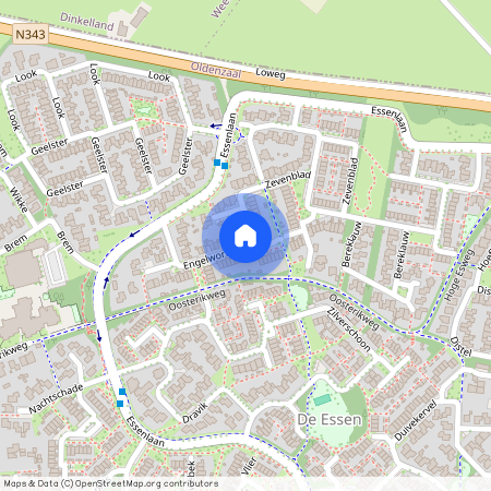 De Essen, 7577 EG, Engelwortel, Oldenzaal