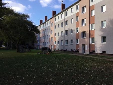 Endlich Zuhause: 3-Zimmer-Wohnung Nähe Klinikum und Universität - Photo 5