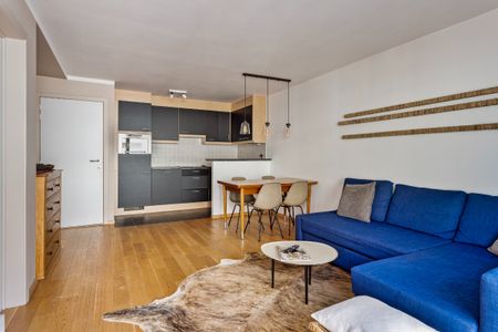 Gemeubeld appartement met 1 slaapkamer + slaaphoek - Photo 3