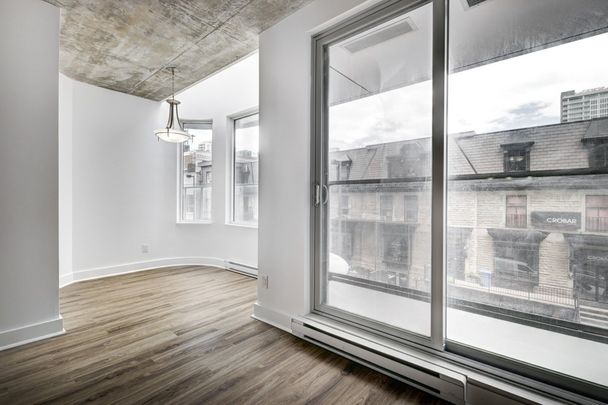 1220 Rue Crescent, app.310, H3G 0C3, H3G 0C3, Montréal - Photo 1