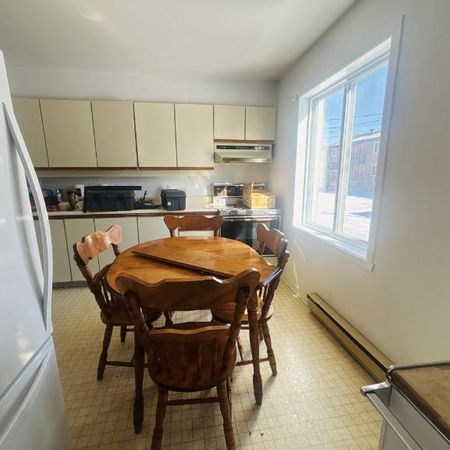 Appartement 4 ½ à louer Lévis juillet 2026 - Photo 4