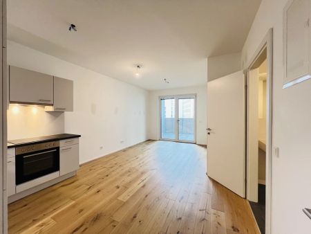 Q11 -Traisen-Promenade. Stadt, Sport und Kultur aufs Feinste miteinander verbinden - Foto 3