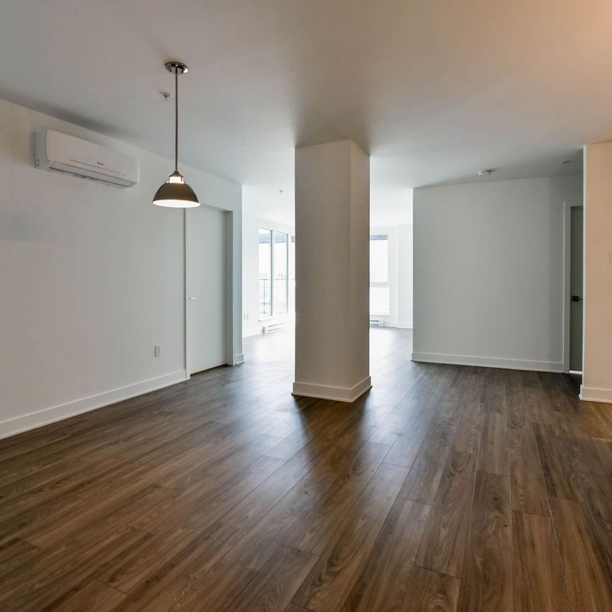 9675 Av. Papineau - Photo 1