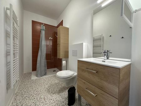 Location Appartement 1 pièce Meublé 22m² BLOIS 41000 - Photo 3