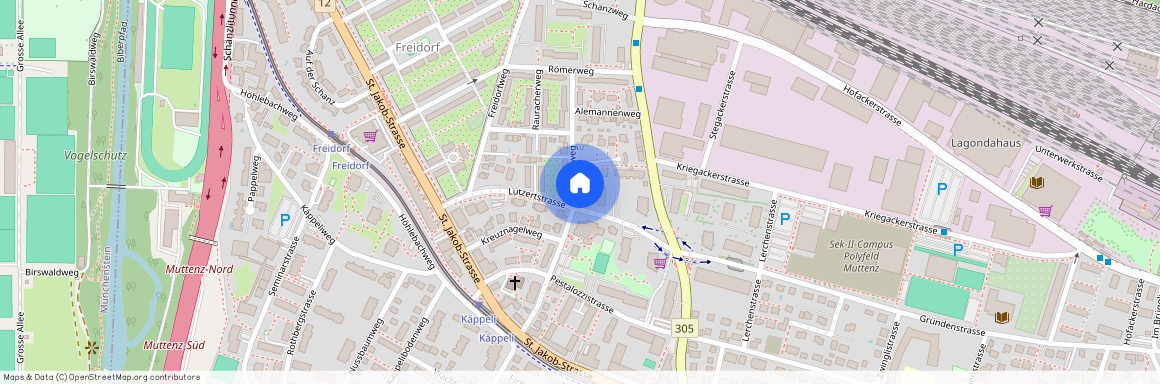 4132, Muttenz, Feldrebenweg, 16