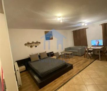 Apartament 1 camera, Buna Ziua - Fotografie 1